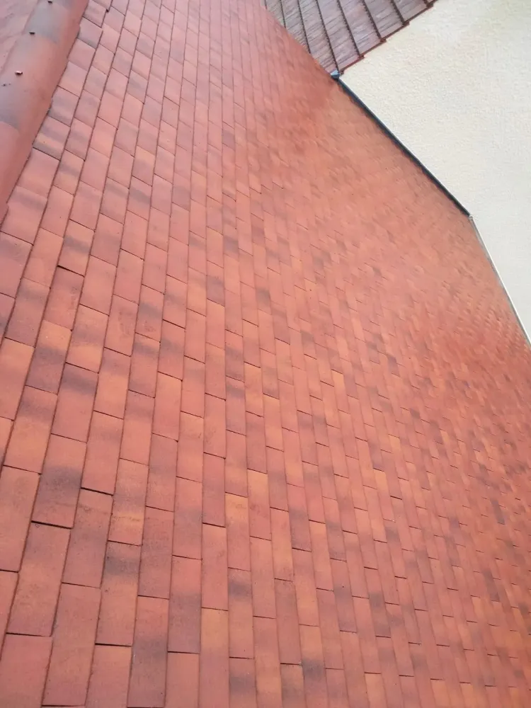 Rénovation de toiture Entreprise Bertier (1)