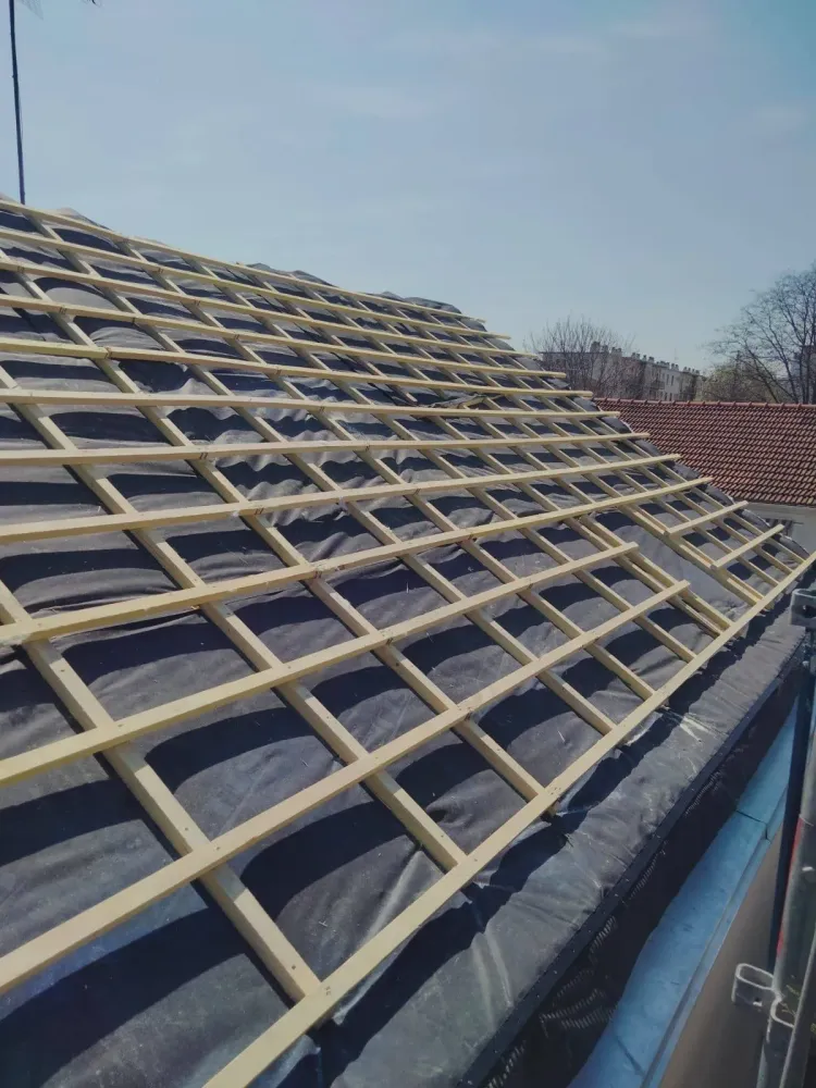 Rénovation de toiture Entreprise Bertier (17)