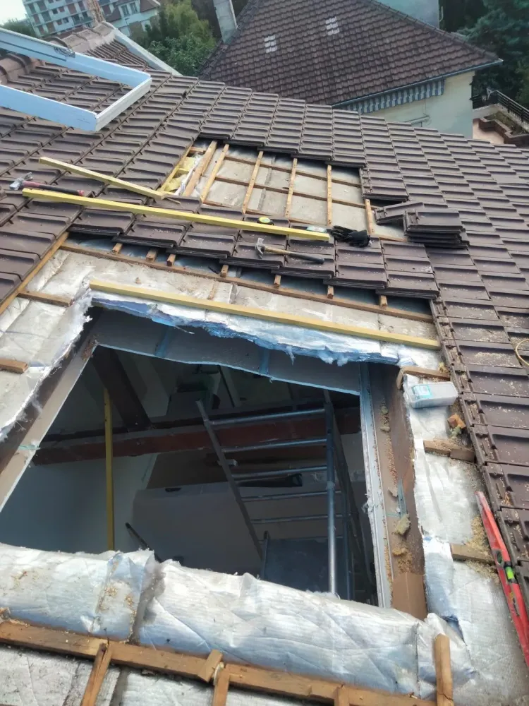 Pose de velux Entreprise Bertier (5)