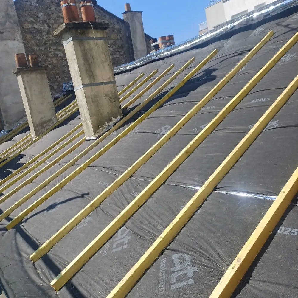 Bertier Isolation (5)