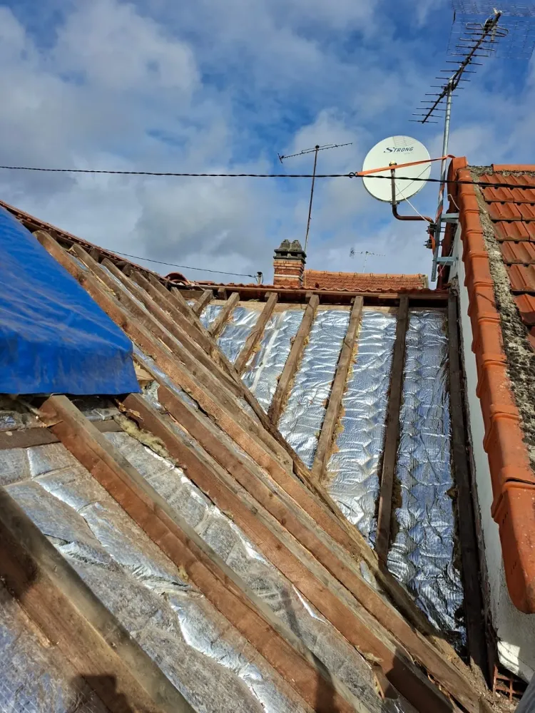 Bertier Isolation (9)